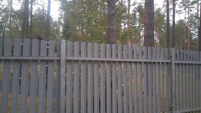 Промывка ХВС Ролик 2 смотреть онлайн