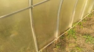 Какую теплицу выбрать? Разбираемся в типах теплиц