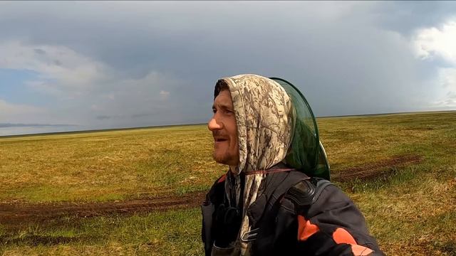 В Тундру по тундре смотреть онлайн