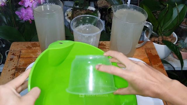 Few people know! It immediately makes the orchid shoot as fast as an arrow смотреть онлайн