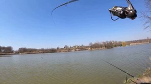 Ловля карпа на ПОПЛАВОК РАННЕЙ весной.