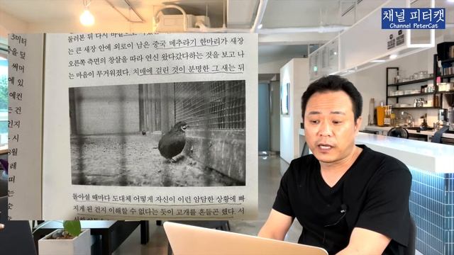 토성의 고리 The Rings of Saturn / 제발트 W.G. Sebalt смотреть онлайн