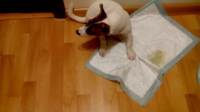 Джек встреча моей мамы