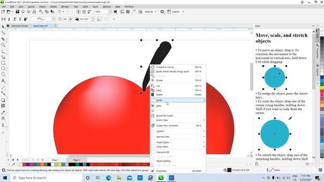 Apple 3D डिजाईन कसरी गर्ने । in Corel Draw 2021 смотреть онлайн