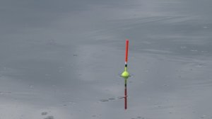 Болото вновь раздает КИЛОГРАММОВЫХ КАРАСЕЙ!!! Рыбалка на поплавок.