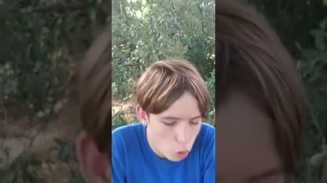 што делать когда скучно? смотреть онлайн