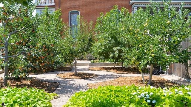 Красивое очарование садовых закоулков смотреть онлайн