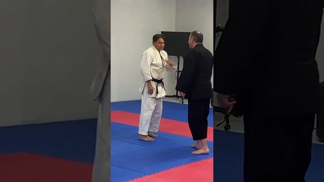 Practical Karate: Heian Nidan / Pinan Shodan #martialart #karatespirit #shotokankara #karatechampio смотреть онлайн