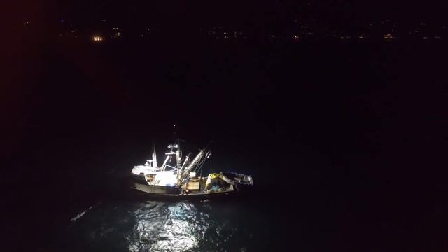 Night Flight Squid Boat Zuma Beach Malibu 5 23 2016 смотреть онлайн