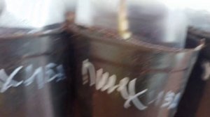 Малина на балконе , выращиваем саженцы дня продажи