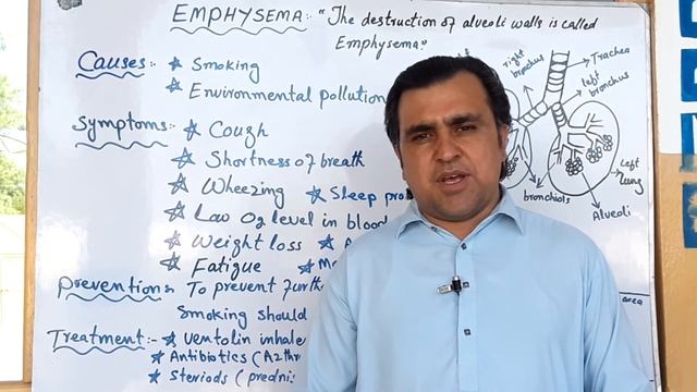 WHAT IS EMPHYSEMA?BIOLOGY CLASS 10TH. CHAPTER NO.1. смотреть онлайн