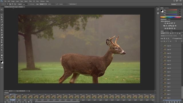 How to Make a GIF Animation from Video in Adobe Photoshop CC • Easy Way смотреть онлайн