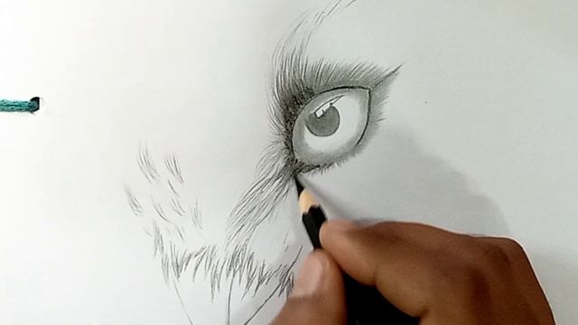 bird face drawing easy!!bird sketch easy@rgldrawingart #bird #drawing смотреть онлайн