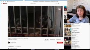 Стрим 27 февраля: Бурматов назвал ОСВВ негуманным отношением к собакам