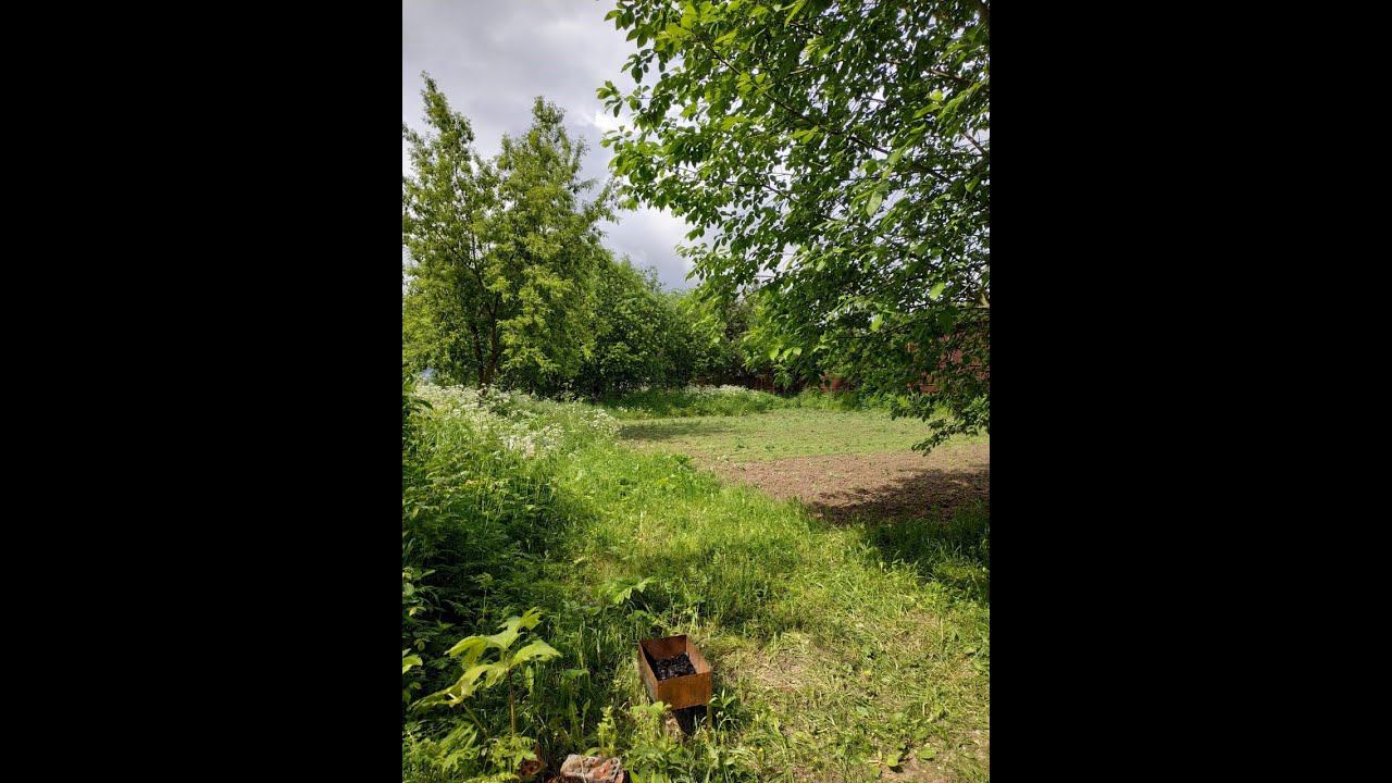 Продажа земельного участка в д. Супонево (Звенигород) смотреть онлайн