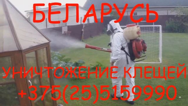 Минская область, г Заславль акарицидная обработка от клещей боррелиозных /энцефалитных (Беларусь). смотреть онлайн