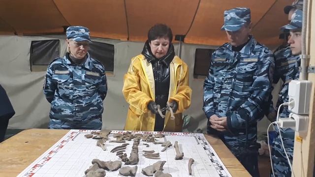 Ржев Калининский фронт Работа антропологов смотреть онлайн