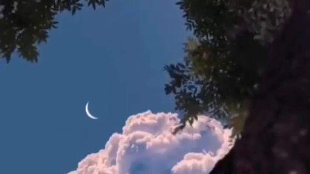 Омар Хишам Красивое Чтение Omar Hisham Beautiful Recitation смотреть онлайн