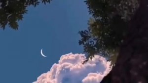 Омар Хишам Красивое Чтение Omar Hisham Beautiful Recitation