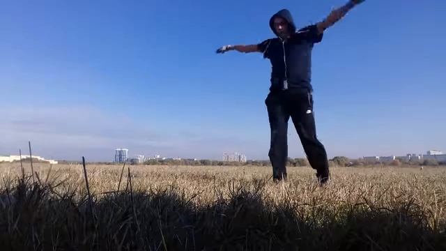 Шаолинь техника 2 смотреть онлайн