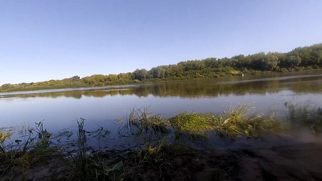Relax Kopyto морковка в деле!Ловля щуки на джиг!Рыбалка в Рязанской области! смотреть онлайн