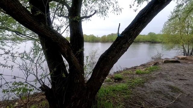 Купил GoPro. Тестирую на велосипеде. Лес, затопленный карьер. смотреть онлайн