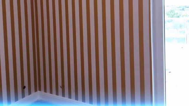 Финишная отделка смотреть онлайн