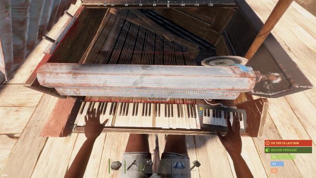 гуру ирландского фольклора решил немного расслабиться игрой на музыкальном инструменте