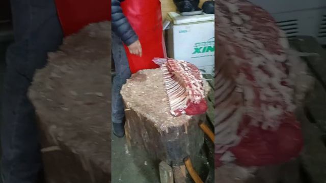 разруб передка говядины смотреть онлайн