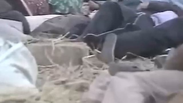 squibs6 смотреть онлайн