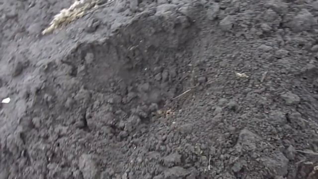 Кладоискатель курск. Коп с теркой 705 на старом огороде. смотреть онлайн