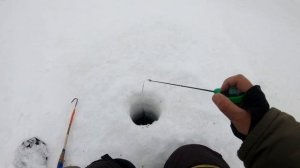 Ловля Леща на Чёртика. Безмотылка в действии на водохранилище.