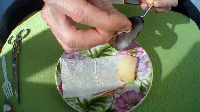 На Такую Отличную насадку Клюёт Лещ, Карп, Карась, Плотва, но Мало Рыбаков Кто Ловит на эту насадку смотреть онлайн