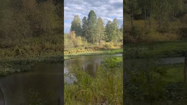 Оленьи ручьи, Екатеринбург 2022 смотреть онлайн