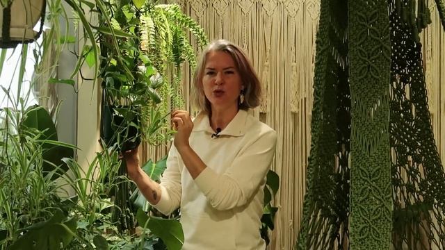 Выбор растений в магазине / как не принести с собой проблемы в горшке / мои советы при выборе смотреть онлайн