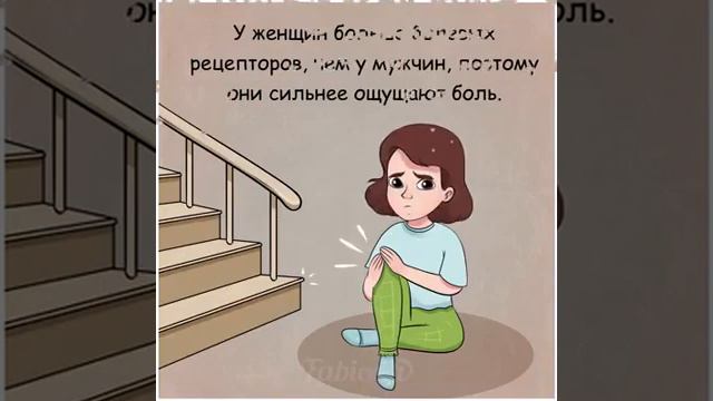 Удивительная разница между мужчинами и женщинами смотреть онлайн