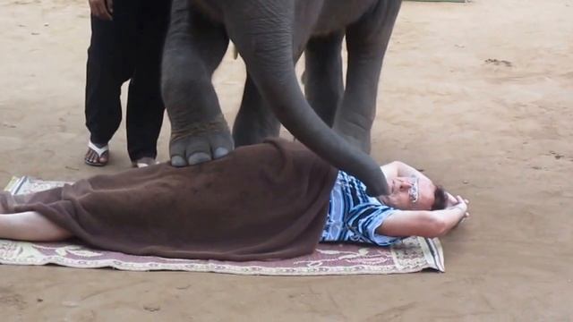Таиланд..танцы слоников.Тайский массаж.