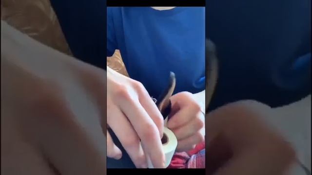 Зачем доберману заматывают уши? #доберман #купированиеушей смотреть онлайн