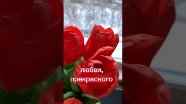 С праздником с 8 марта! #8марта #Весна2023 #Женщинам