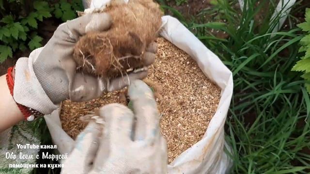 ВЫРАЩИВАНИЕ В МЕШКАХ ДЛЯ МАЛЕНЬКОГО ОГОРОДА смотреть онлайн