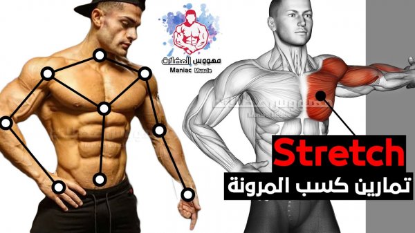 Stretching Exercise | Mobility & Flexibility Exercises at Home