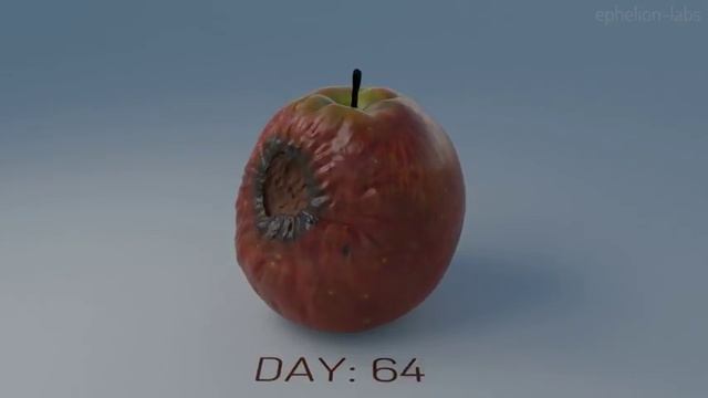 Timelapse of decaying apple (Blender Render) смотреть онлайн