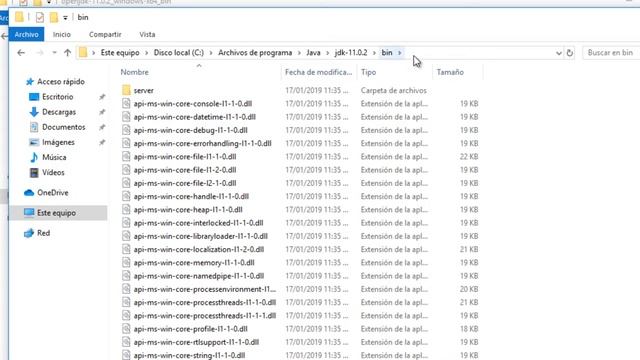 OpenJDK - Install OpenJDK 11 in Windows смотреть онлайн