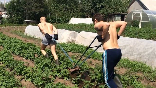 Есть че попахать? смотреть онлайн