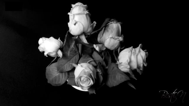 Етим Эмин. Завещание . Перевод Арбена Кардаш. смотреть онлайн