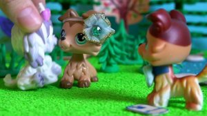 LPS / ОТКРОЙТЕ ДВЕРЬ ЭТО МИЛИЦИЯ !