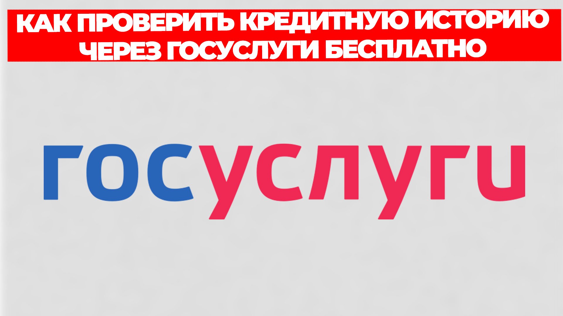 Всезнающий Енот