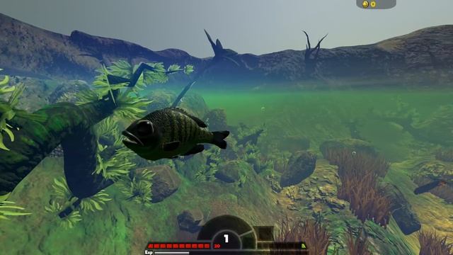 ОБНОВЛЕНИЕ! НОВЫЕ РЫБЫ И РЕЖИМ ВЫЖИВАНИЯ! | Feed And Grow Fish