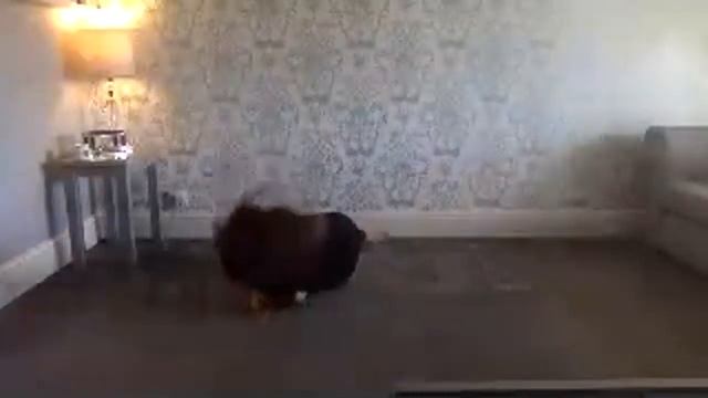 Groovy Movers - with Miss Naomi 27/05/2020 смотреть онлайн