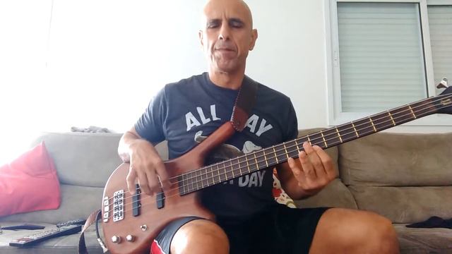 To Tame a Land - Bass Cover смотреть онлайн